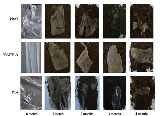 PBAT/PLA共混物生物降解塑料袋的降解過(guò)程(圖2)